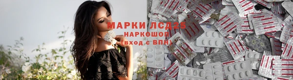 ПСИЛОЦИБИНОВЫЕ ГРИБЫ Балабаново