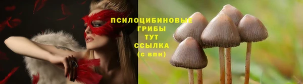 PSILOCYBIN Заволжск