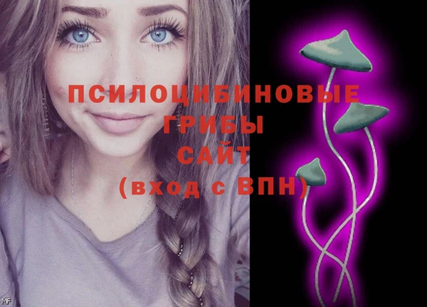 ПСИЛОЦИБИНОВЫЕ ГРИБЫ Балабаново