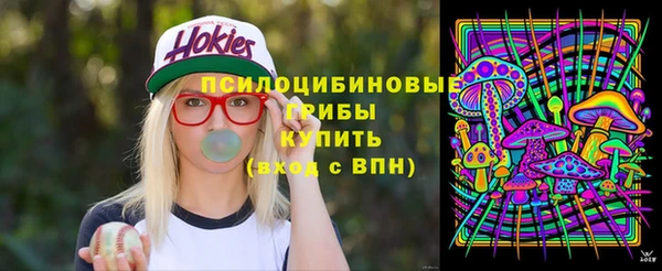 ПСИЛОЦИБИНОВЫЕ ГРИБЫ Балабаново
