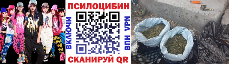 купить наркотики цена  Бобров  нарко площадка Telegram  Псилоцибиновые грибы Magic Shrooms 
